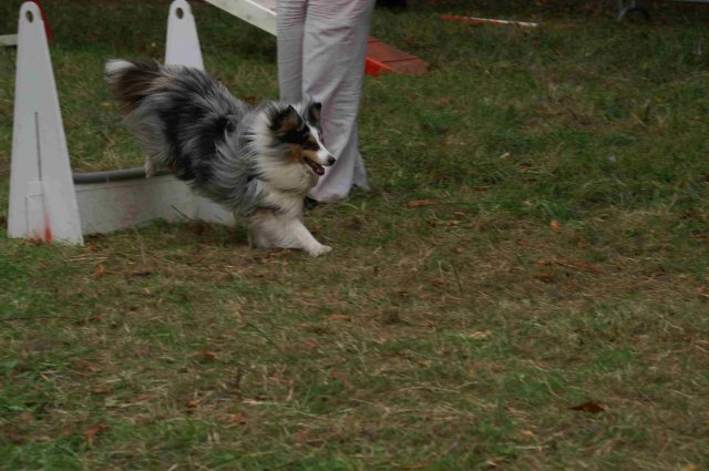 foire-haricots 2011-09-17et18